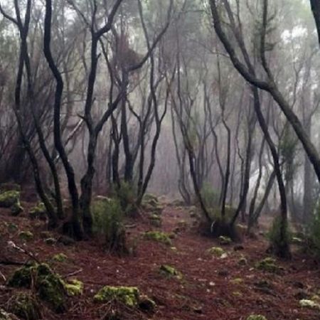 La Casita De Descanso - Das Haeuschen Der Ruhe - La Luz - La Orotava Extérieur photo