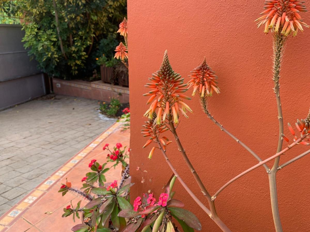 La Casita De Descanso - Das Haeuschen Der Ruhe - La Luz - La Orotava Extérieur photo